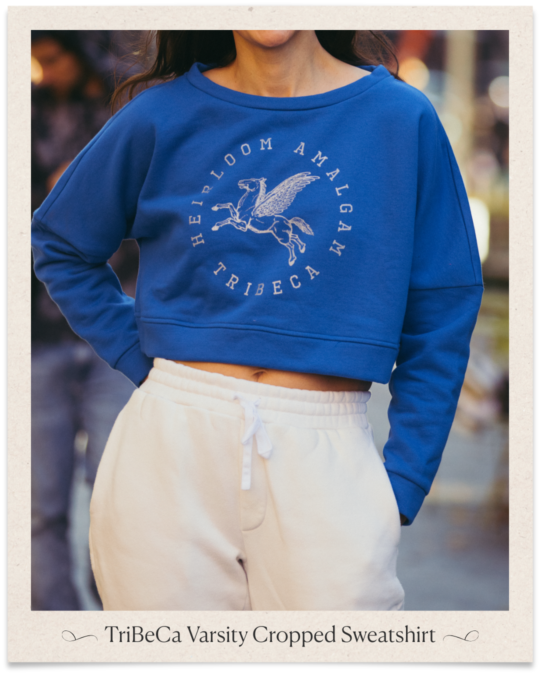 TriBeCa Varsity Cropped Sweatshirt