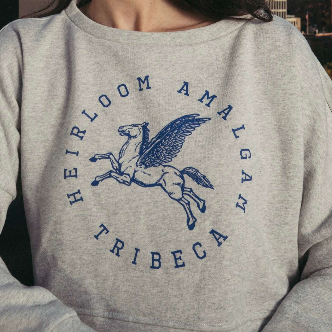 TriBeCa Varsity Cropped Sweatshirt