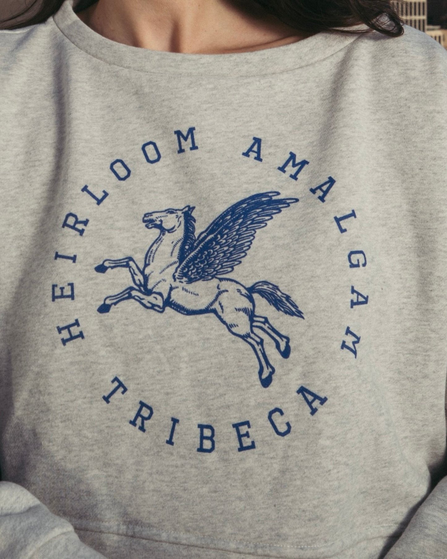 TriBeCa Varsity Cropped Sweatshirt